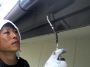 写真:佐藤 幸博