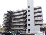 仙台市宮城野区 セントエルモ宮城野施工前